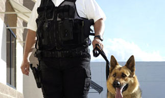manned guarding
