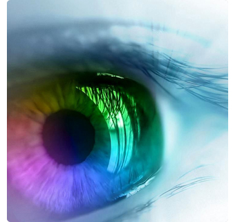 vision